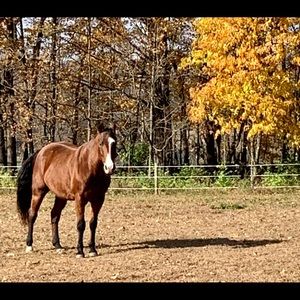 Meet your Posher, Marie